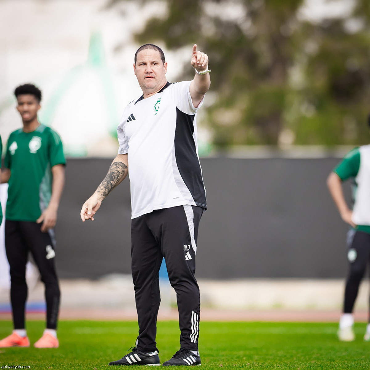 الصقور.. نهاية التحضيرات