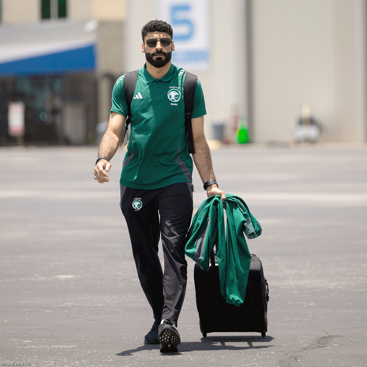 الصقور تطير