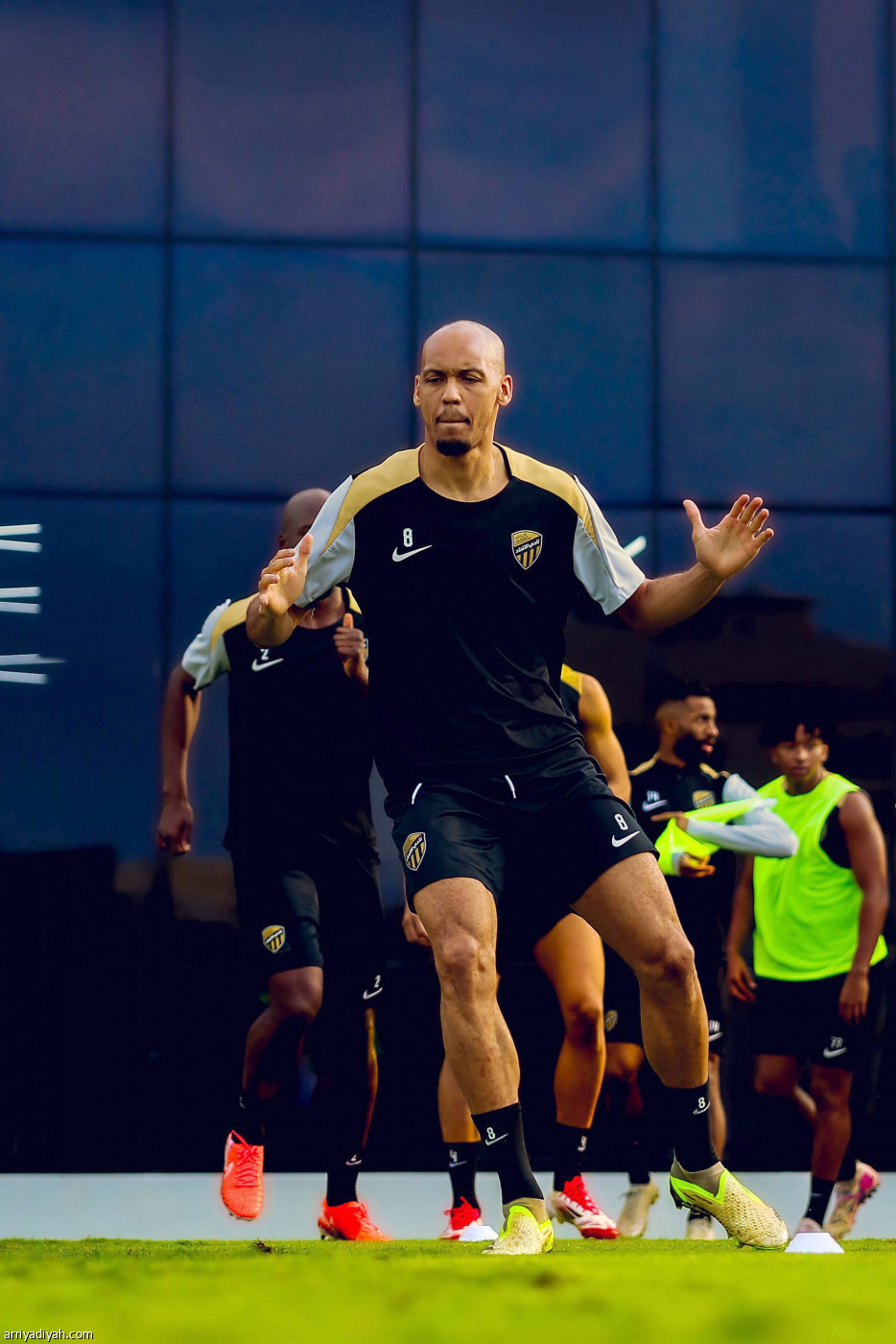 «النمور» جاهزون