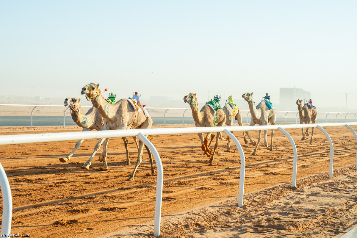 المنافسات الصباحية