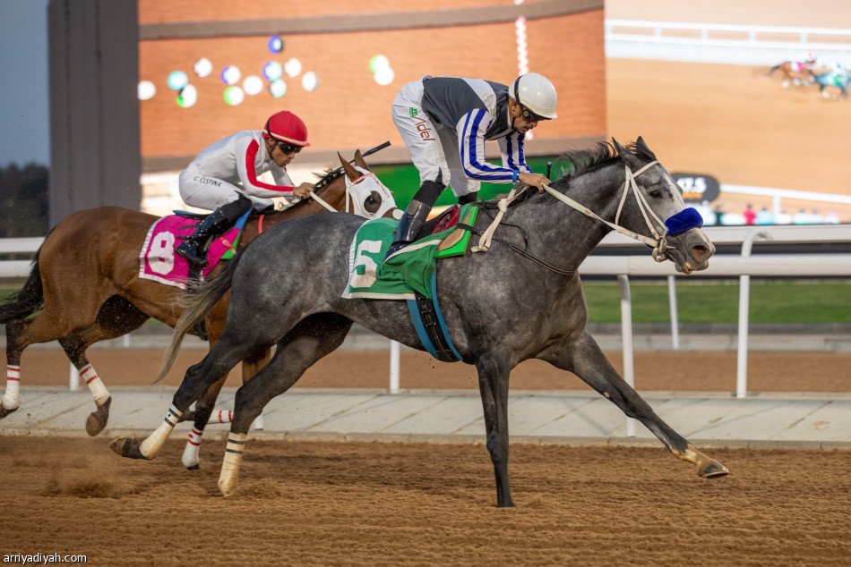 موسم الطائف.. فوز ثلاثي لجياد الأمير سلطان في الحفل الـ28