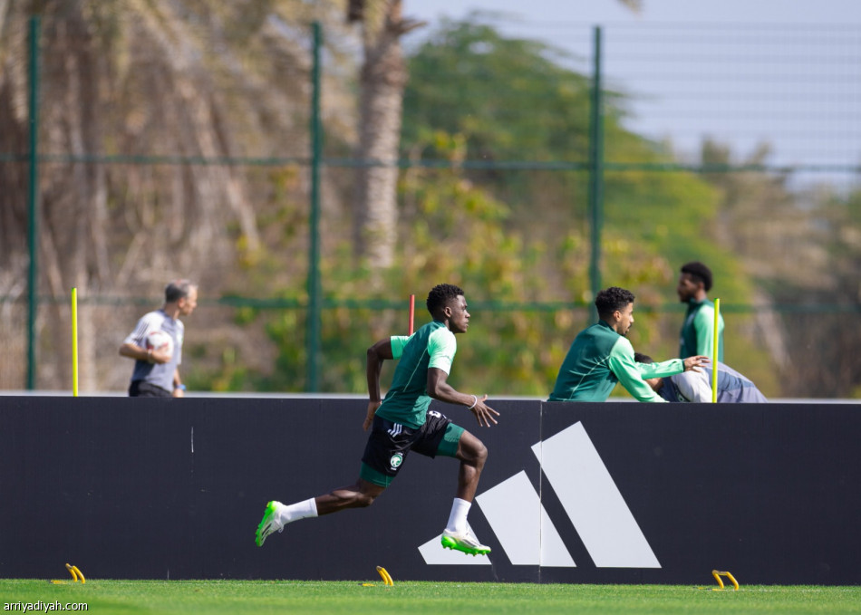 الأخضر.. مانشيني يرسم خطة فلسطين