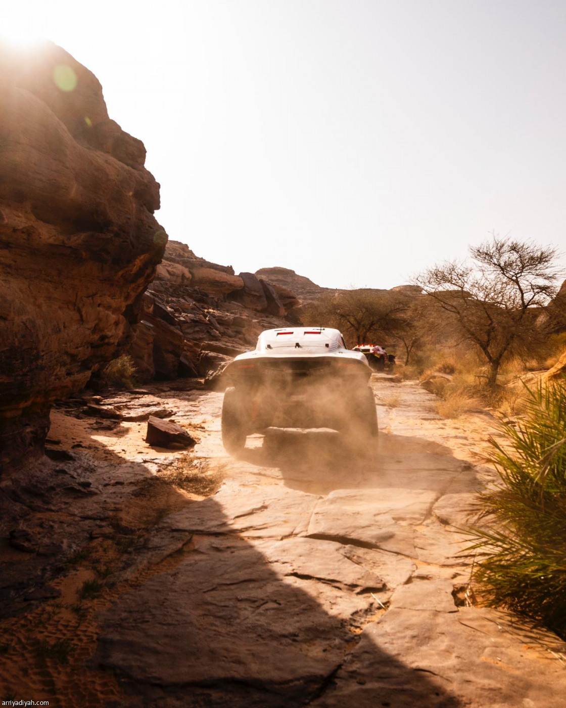 داكار.. المرحلة الرابعة