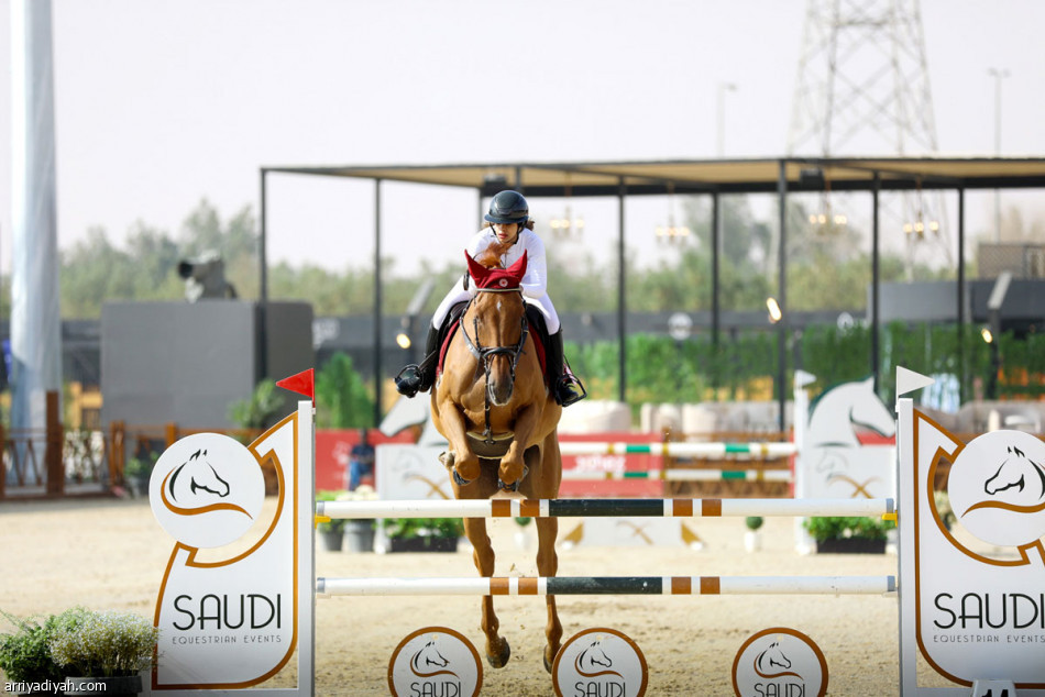 الزايدي.. ترك المعشوقة
واختار الفروسية