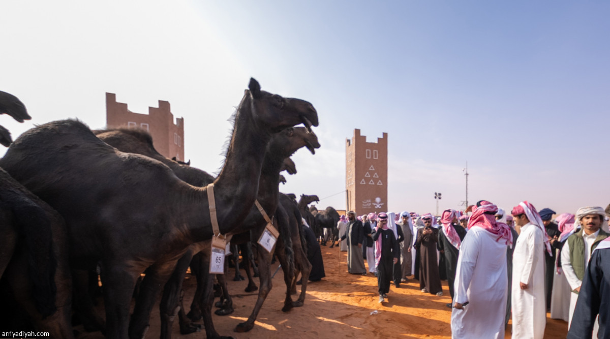 منافسة واحتفال