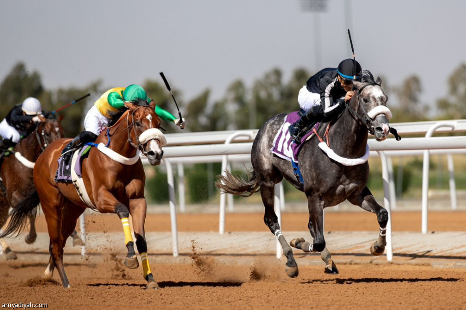 «نافذة» تحصد كأس مهرجان الورد الطائفي