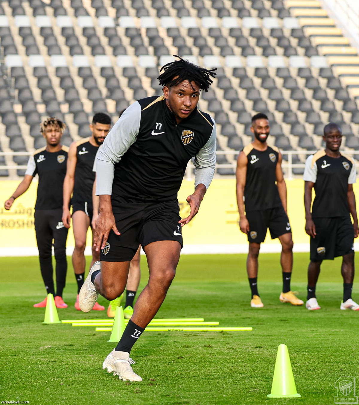 تحضيرات النمور