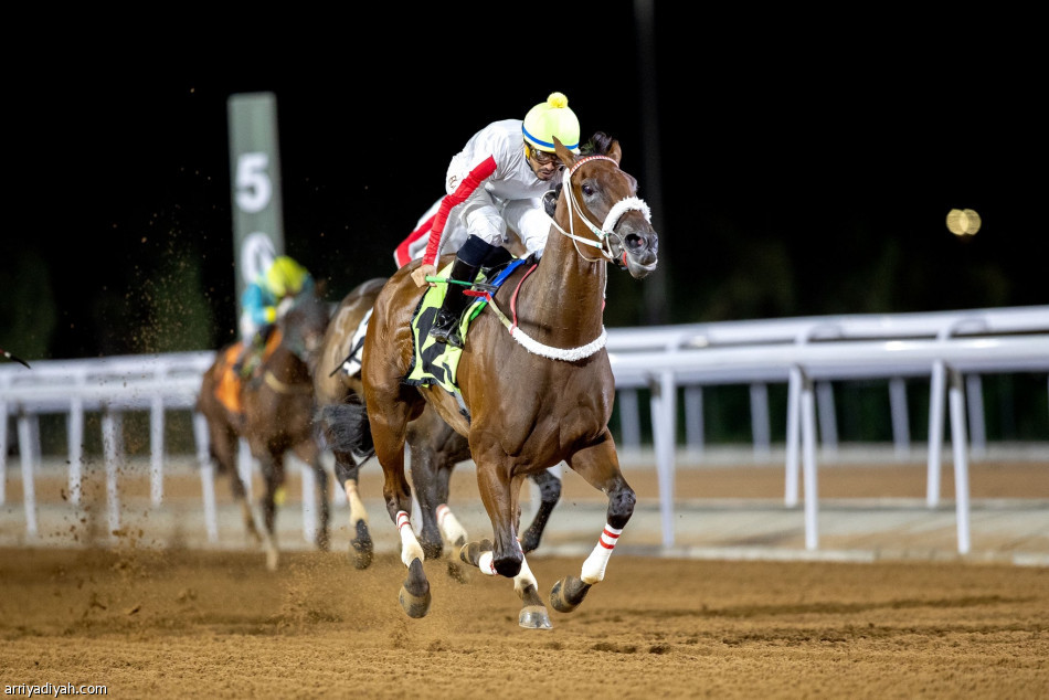 «نافذة» تحصد كأس مهرجان الورد الطائفي