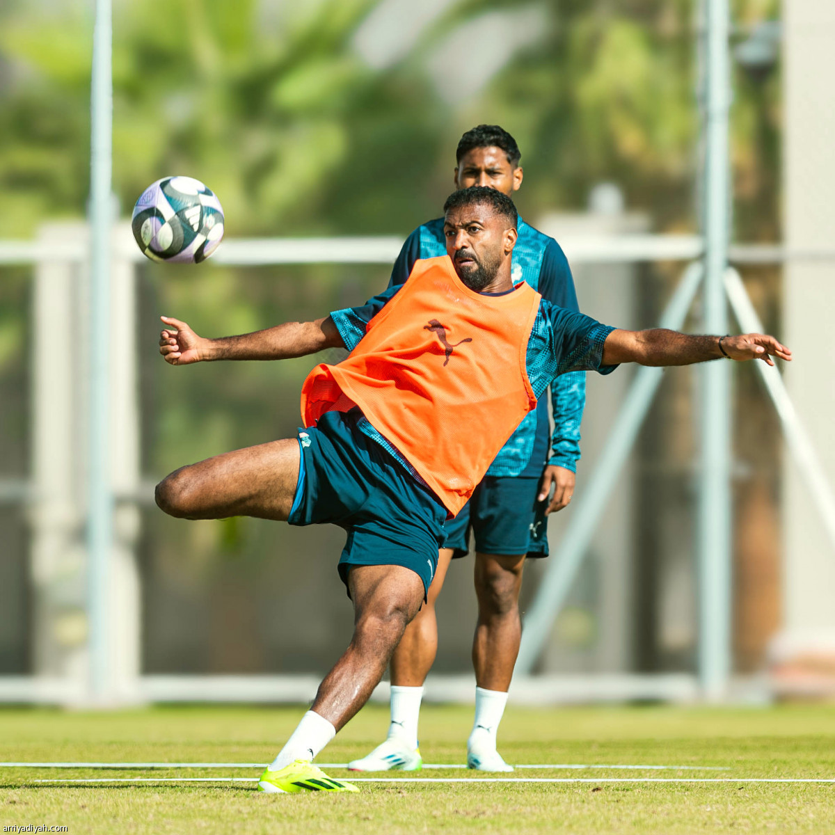 مناورة نيوم