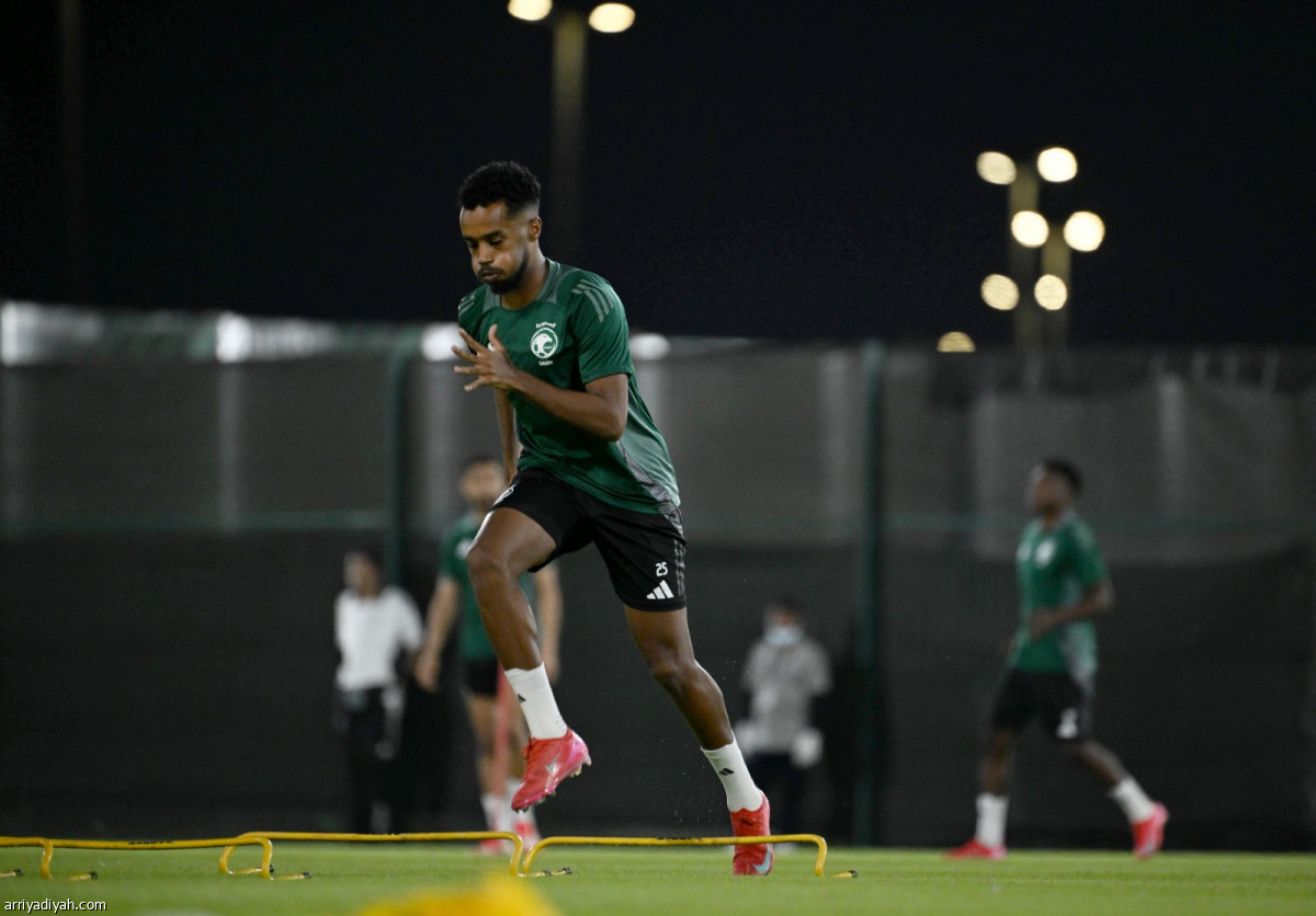 تأهب الصقور والكناغر