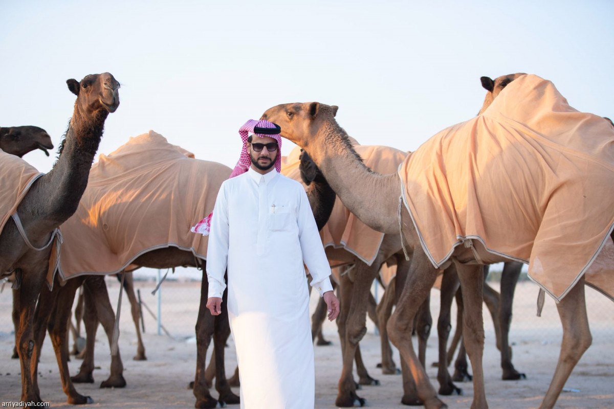 14 فردية بـ 13 مليونا