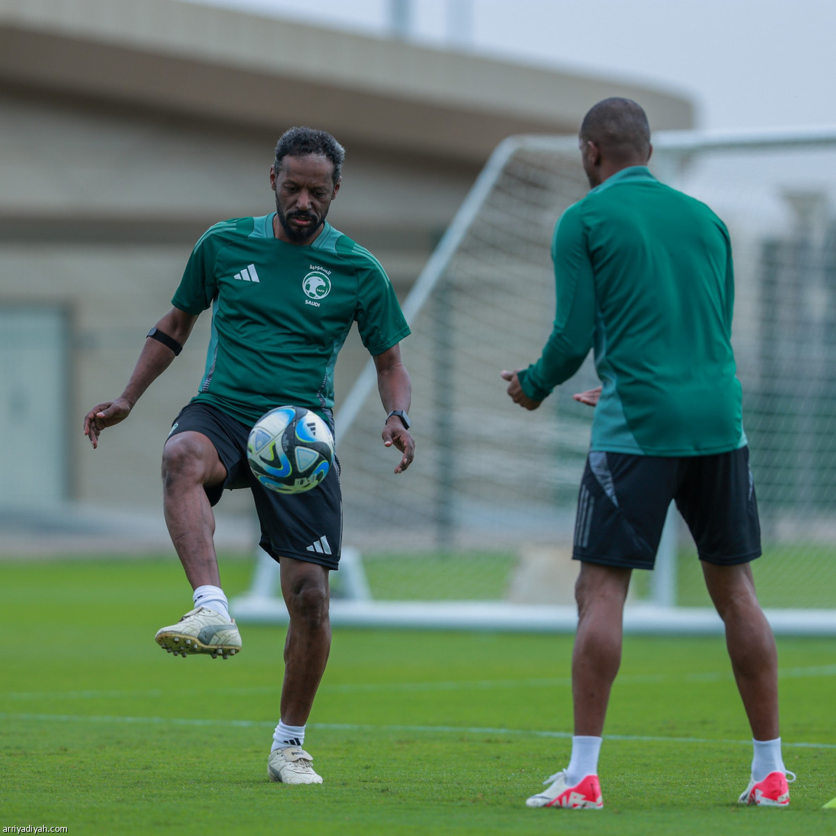 أخضر القدامى